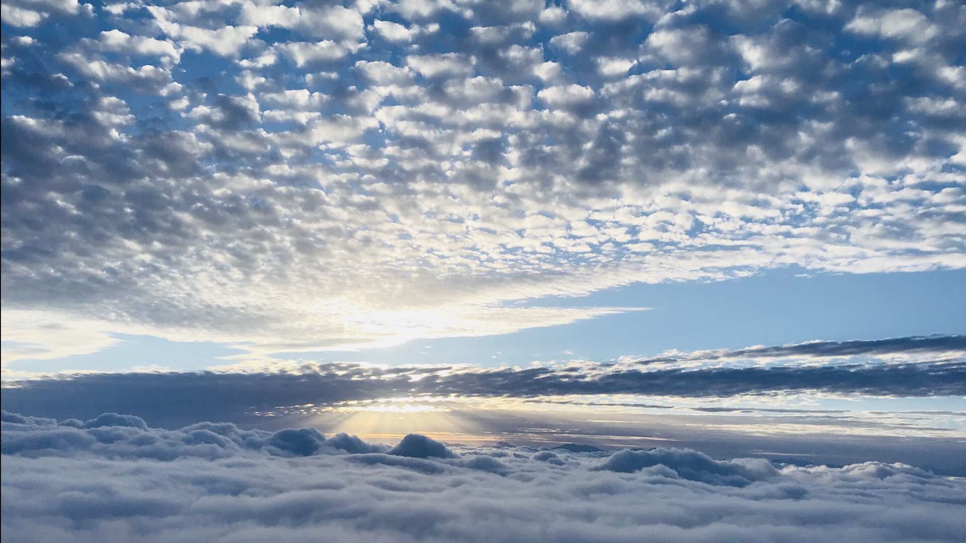 微信图片_20190222095314