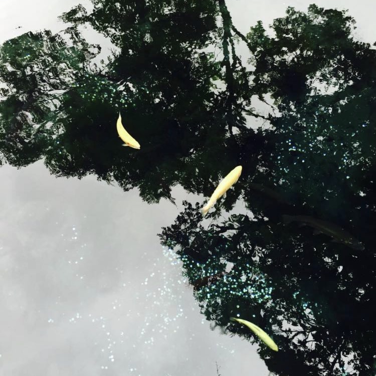 微信图片_20190222100240